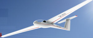 two-seater glider