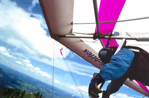 performance hang-glider / intermediate / single