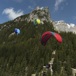 mountain paraglider / single