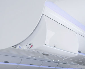 aircraft stowage bin