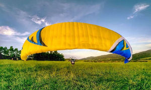 performance paramotor wing / cross / monoplace