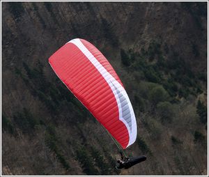 sport paraglider / monoplace