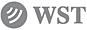 WS Technologies 