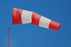 Windsack für Flughäfen / mit Mast