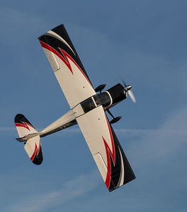 Kunstflugzeug 1