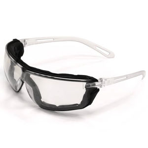 Schutzbrille 1