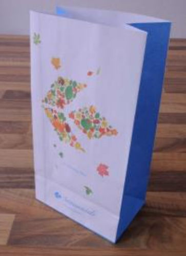 Spuckbeutel für Flugzeug - D/F Marketing GmbH - Papier