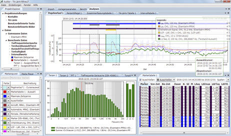 Lärmmanagementsoftware - Auditor - Sinus Messtechnik GmbH - Analyse / Fertigung / Prozess