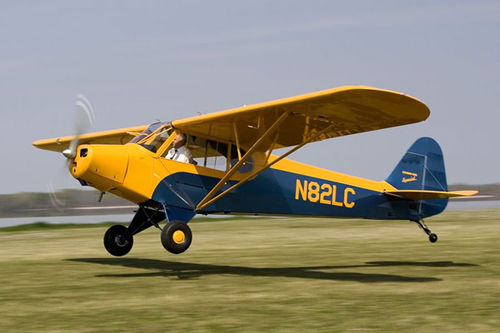 Einmotoriges Flugzeug - Legend Cub, Closed Cowl - American Legend - mit Kolbenmotor / Zweisitzer / Leichtsport