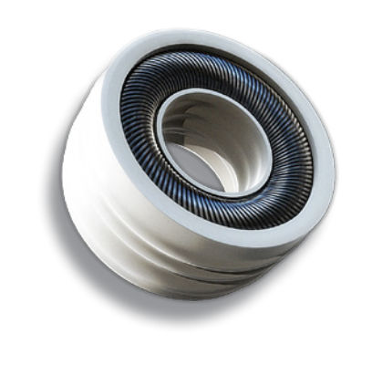 Kohlenstofffaser-Dichtung - Bal Seal Engineering Europe BV - PTFE