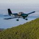 privates Sportflugzeug / einmotorig / mit Kolbenmotor / 4-Takt-Motor