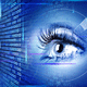 Management-Software / Sicherheit / biometrisch / fur Iriserkennung