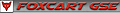 Foxtronics