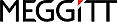 MEGGITT SENSING SYSTEM - Sensorex