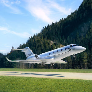 avión privado 1