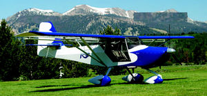 avión monomotor