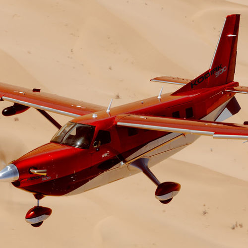 Avión de turismo - KODIAK 900 - DAHER - privado / privado / monomotor