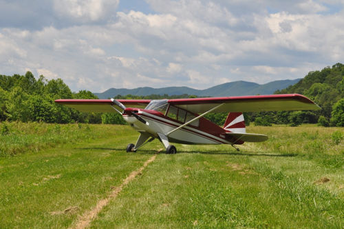 Avión monomotor - Bearhawk Aircraft - con motor de émbolo / biplaza / deportivo ligero