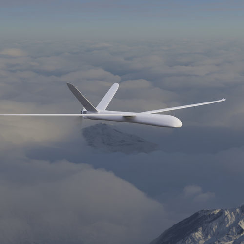 Dron industrial - Tailor Made Fixed-Wing UAV 2-15m - Composite RC Gliders GmbH Industrial Aviation - de cartografía / para toma de imágenes aéreas / de inspección