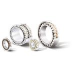 rodamiento de rodillos cil&iacute;ndricos