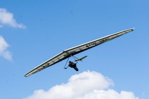 deltaplane intermédiaire / cross / monoplace