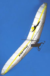 deltaplane performance / monoplace