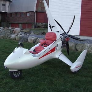 avion pendulaire biplace 1