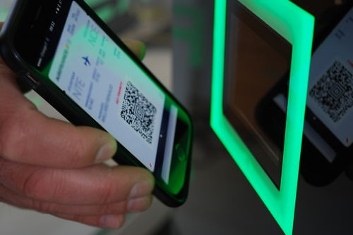 Logiciel de gestion des passagers - CREWS SELF-BOARDING - RESA Airport Data Systems - de contrôle / biométrique / de process