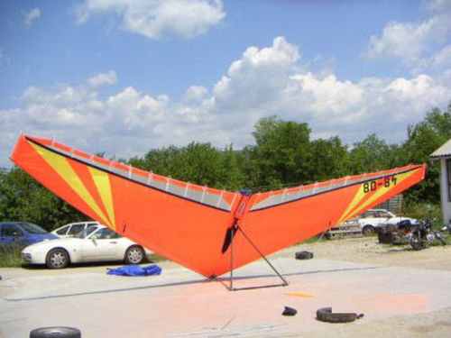 Aile de pendulaire performance - C15 AX  - Apollo Aircrafts - tandem