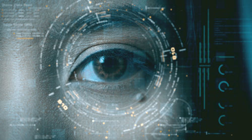 Logiciel de reconnaissance de l'iris - IriCore - IriTech,Inc - pour l'aéronautique / Windows / Androïd