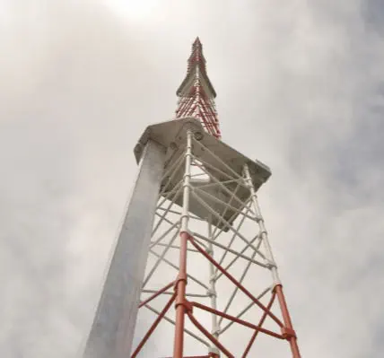 Asalarilarning XXX suratlari