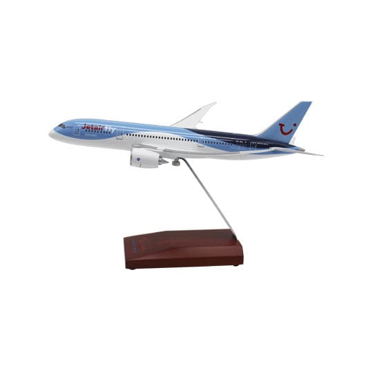 1/100 airplane model - B787-8 - Long Prosper Enterprise Co Ltd - 1/200