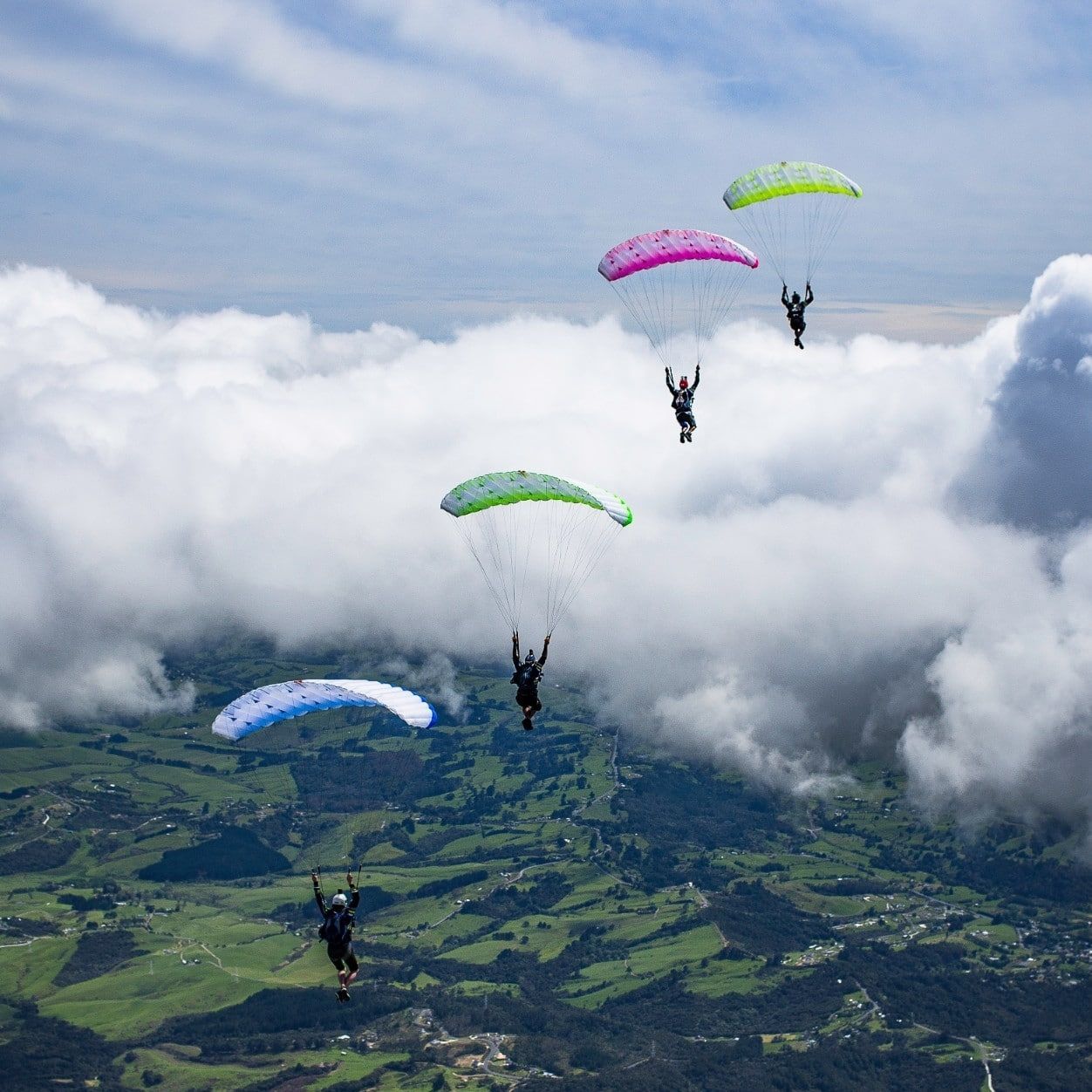 Sport parachute - LEIA - NZ Aerosports - performance