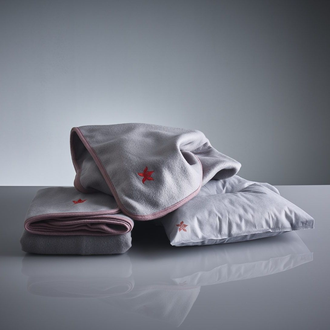 Aircraft pillow 787 Watermark Products