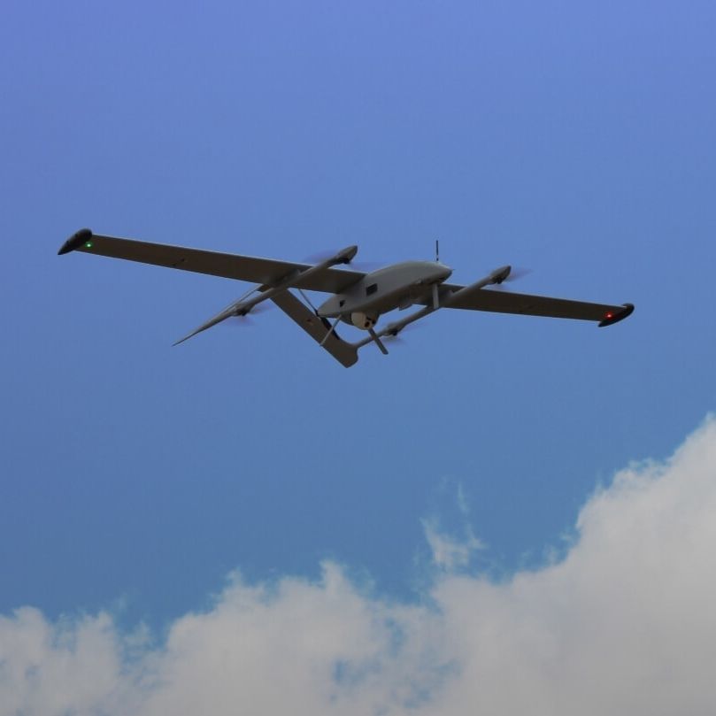 Professional UAV - WanderB-VTOL - Blue Bird Aero Systems - Surveillance ...