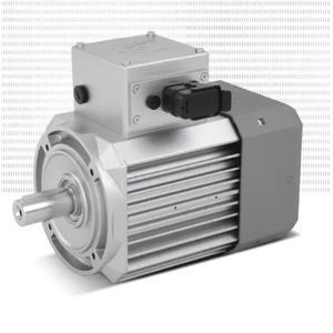 synchronous electric motor