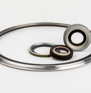 lip seal