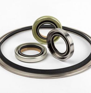 lip seal