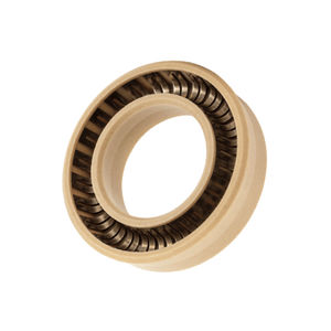 spring-energized seal 1