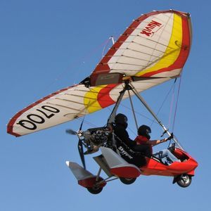 performance ultralight trike wing