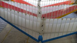 two place UL trike wing