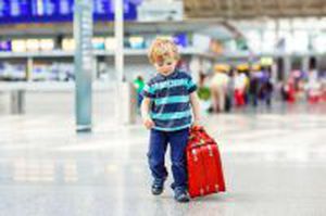 baggage management software