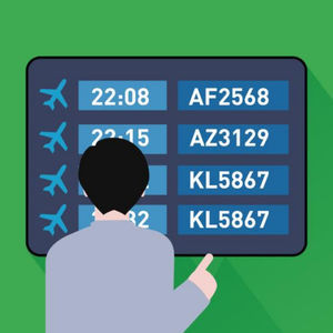 airport flight information display system