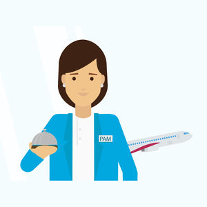 passenger management software