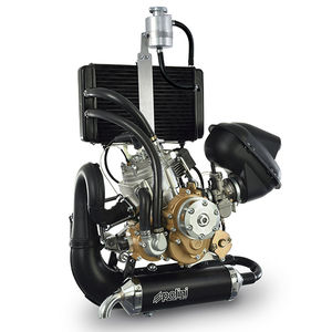 10 - 50hp piston engine