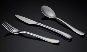aircraft cabin cutlery