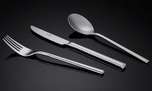 aircraft cabin cutlery