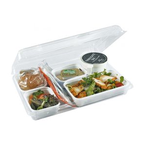 aircraft cabin dish