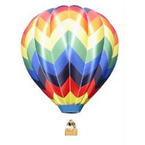 tourist hot-air balloon