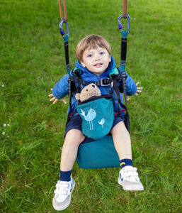 parachute free flight harness